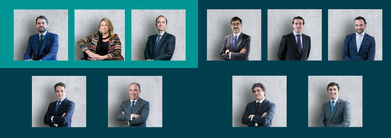 Buen Gobierno - Órganos de Gobierno