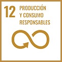 ODS 12