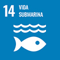 Objetivo de desarrollo sostenible 14. Vida submarina