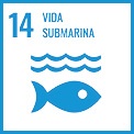 ODS 14