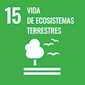 Objetivo de desarrollo sostenible 15. Vida de ecosistemas terrestres